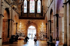 386 - Cathedral Christmas