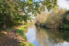 436 An Autumn Walk along Chichester Canal