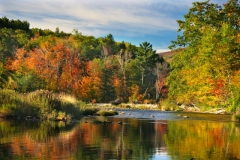 435 Autumn on Thornton River